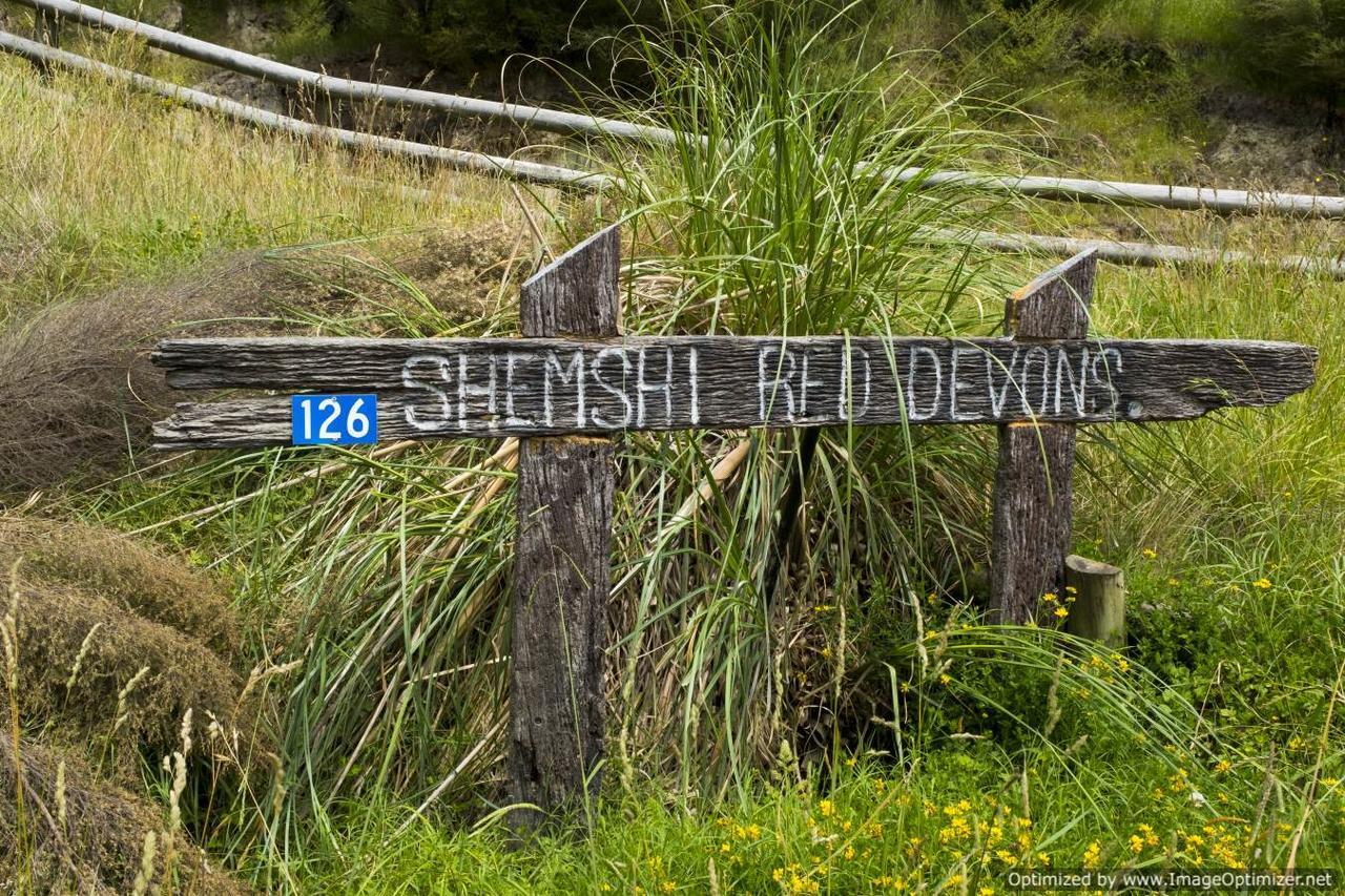 Villa Shemshi Gisborne Buitenkant foto