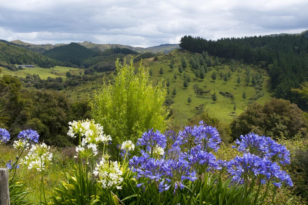 Villa Shemshi Gisborne Buitenkant foto